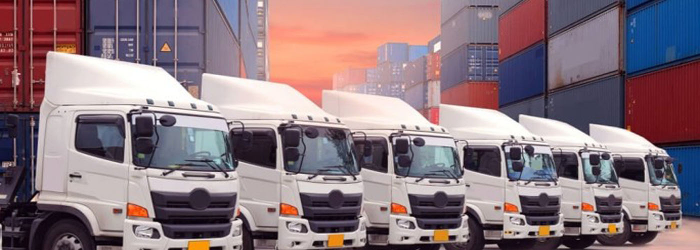Transport Agency
Services